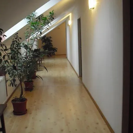 Restaurant švejk A 3* Brno